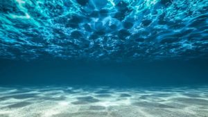 Ocean